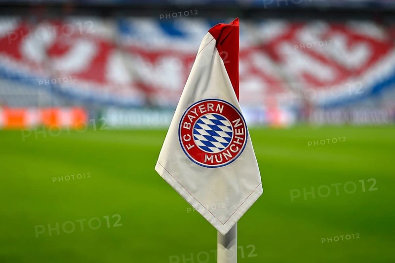 Corner flag, logo FC Bayern Munich soccer UEFA Champions League CL Allianz Arena, Munich, Bayern, Germany