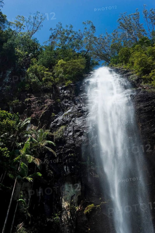 Protesters falls, waterfall, water, fresh, nature, environment, Nightcap National Park, Queensland, Australia