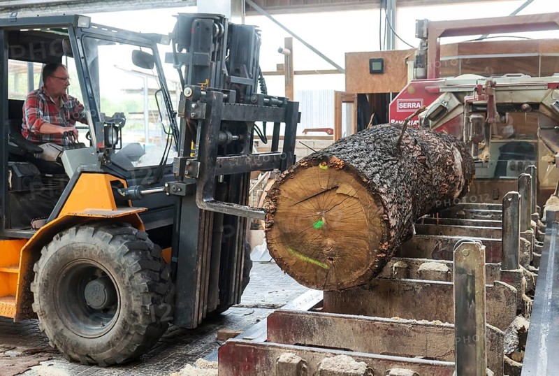 Solingen, North Rhine-Westphalia, Germany - Oak logs are placed on the band saw by the forklift truck in the sawmill, timber is scarce and expensive, carpentry and joinery companies are struggling with rapidly rising raw timber prices in times of the coronavirus crisis, and large quantities of logs are being exported to China and the USA