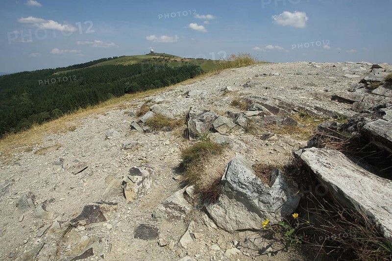 View from Pferdskopf to Wasserkuppe with RadomW Biosphere Reserve, Rhön, Hesse, Germany