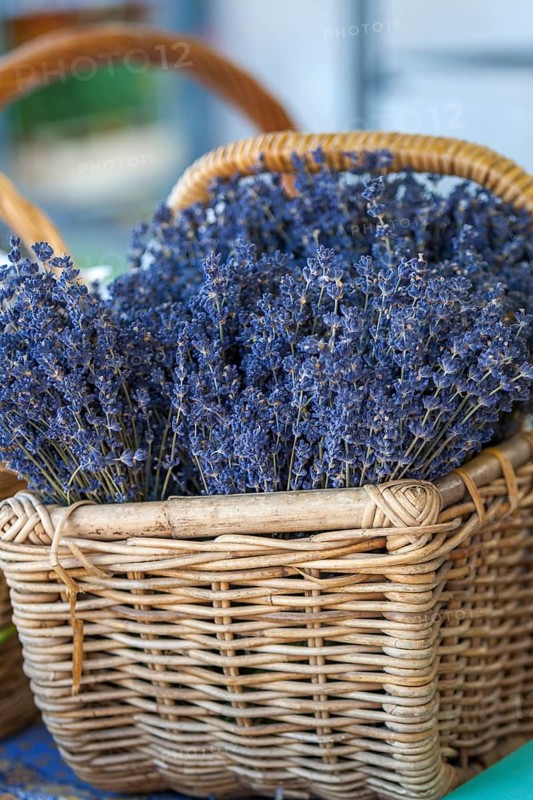 Basket with dried lavender, Provence, France