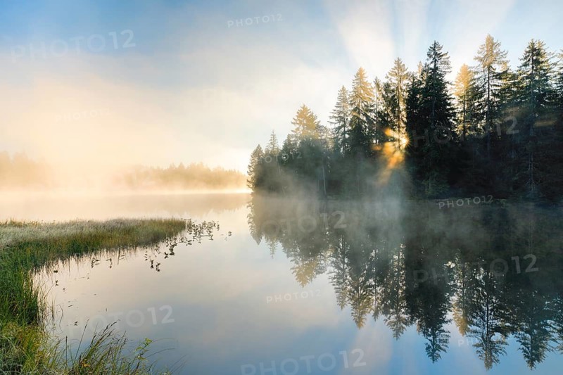 Rays of sunshine make their way through forest and fog at the mirror-smooth moorland lake Étang de la Gruère in the canton of Jura, Switzerland