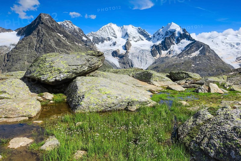 Piz Tschierva-3546 m, Piz Bernina-4049 m, Biancograt, Piz Roseg-3937 m, Grisons, Switzerland