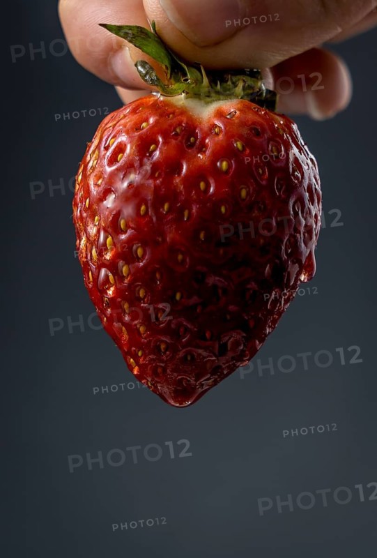 Texture of a wet strawberry held by a woman's hand with black background