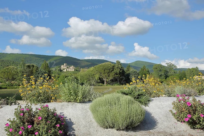 View of Le Poët-Laval with blooming flowers, Landscape, Poet, Drôme, Provence, France