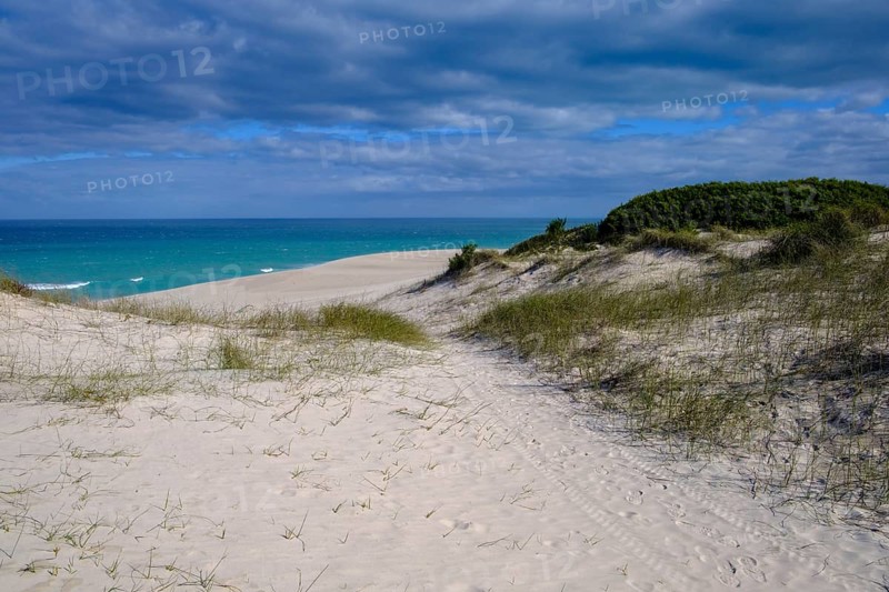 Sand dunes, De Hoop Nature Reserve, nature reserve near Struisbaai, Garden Route, Western Cape, South Africa