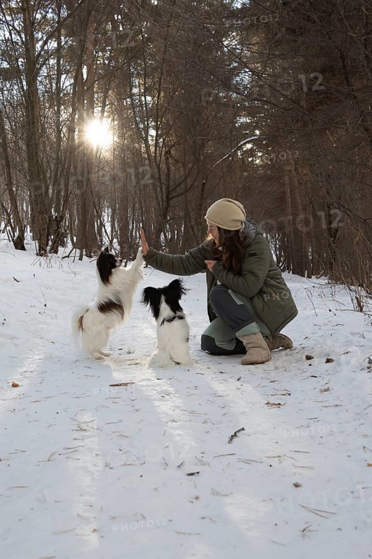 A joyful scene of a woman engaging with her two purebred Papillon dogs in a snowy forest, capturing a moment of connection and training amid the serene winter landscape