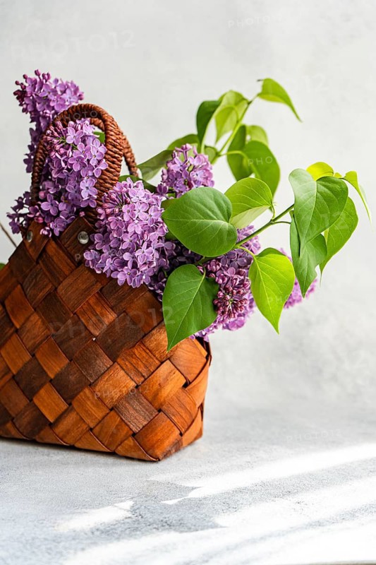 A charming woven basket filled with vibrant purple lilacs and fresh green leaves sits on a light, textured surface. The delicate petals and natural arrangement create a serene atmosphere