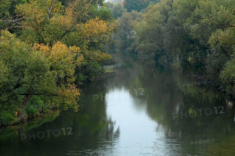 View from the Stone Bridge onto the wooded banks of the Danube, Regensburg, Upper Palatinate, Bavaria, Germany