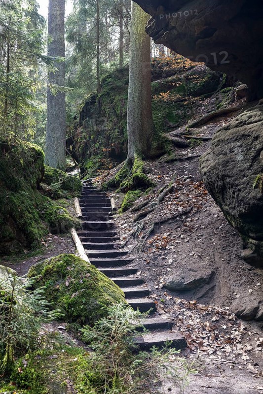Hiking trail over stairs in Teufelsgrund near Wehlen, Saxon Switzerland, Saxony, Germany
