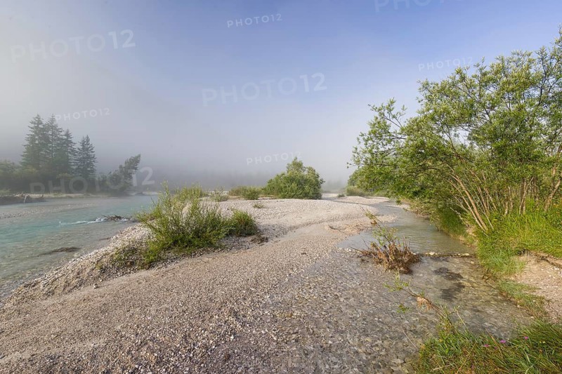Isar valley nature conservancy area. The wild Isar river flows through its gravel bed past driftwood and entrained trees and bushes. Sunrise with fog