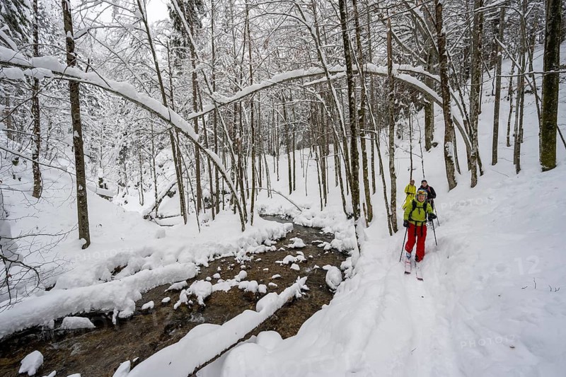 Three ski tourers in snowy winter forest with mountain stream, Hachelbach in Josefstal, Mangfallgebrige, Neuhaus, Bavaria, Germany