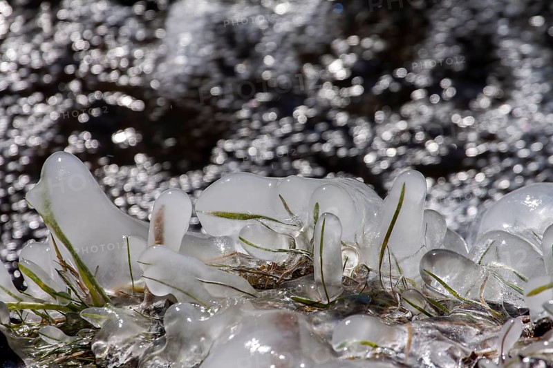 Frozen tufts of grass with ice crystals, glistening in the sunlight, create a wintry atmosphere, Palatinate, Rhineland-Palatinate, Germany