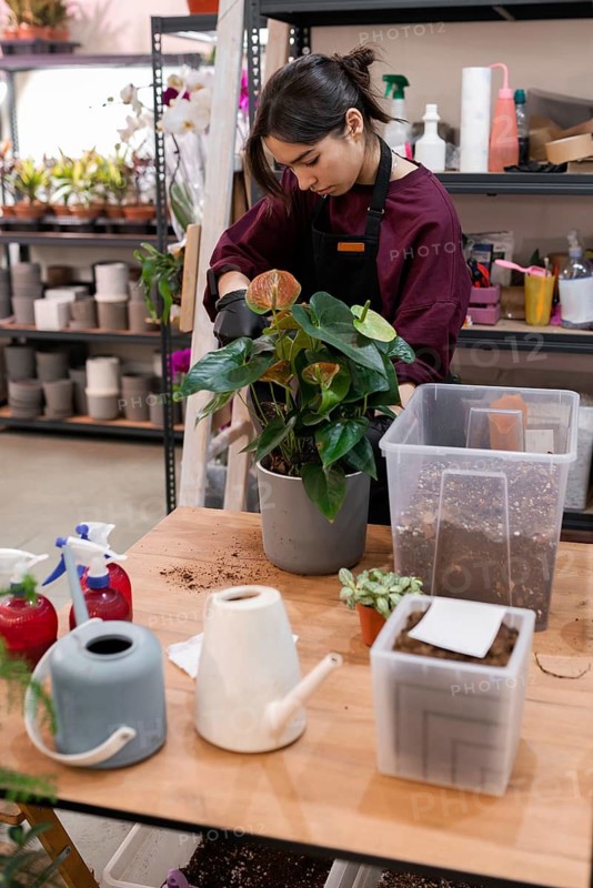 A young woman in a garden center carefully tends to a plant in a pot. Surrounded by gardening tools and foliage, she embodies focus and passion for plants