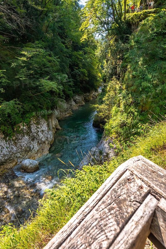 Tolmin gorges in slovenia, showing a wooden railing in the foreground and turquoise water flowing through rocks and lush vegetation