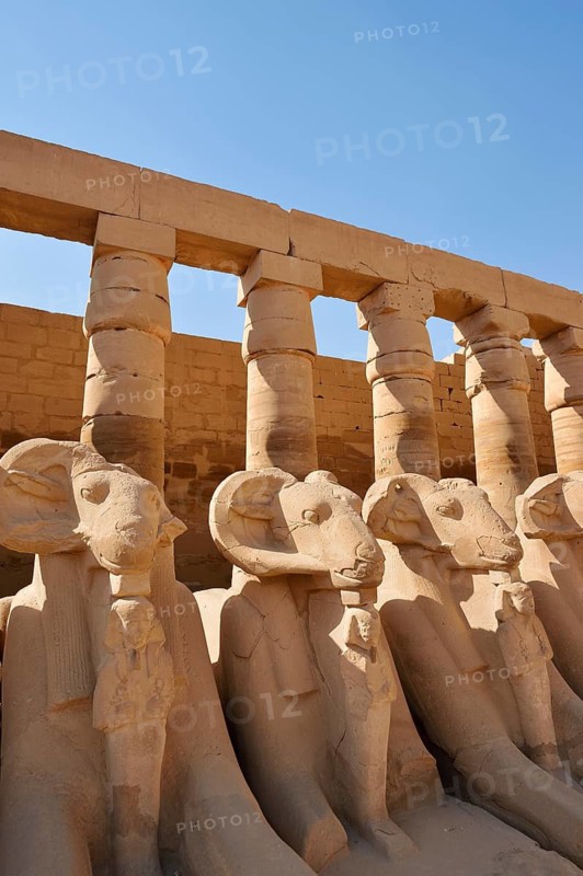 Aries sphinxes in front of the colonnades, Karnak Temple, Luxor, Egypt
