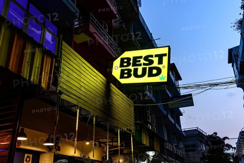 Best Bud sign for Legal cannabis and marijuana products store selling Thai weed and CBD and medicinal drugs, Bangkok, Thailand, Asia, In Thailand, cannabis, known by the name Ganja, is currently decriminalized. However, cannabis extracts and products are officially limited to 0.2% THC content. Purchase is permitted only from licensed dispensaries. While recreational use is allowed, public consumption remains prohibited. Neon weed signs have become ubiquitous in Bangkok's busy tourist areas, with dispensaries cropping up on every corner. Yet there are rumours a more conservative government could reverse the legal ruling
