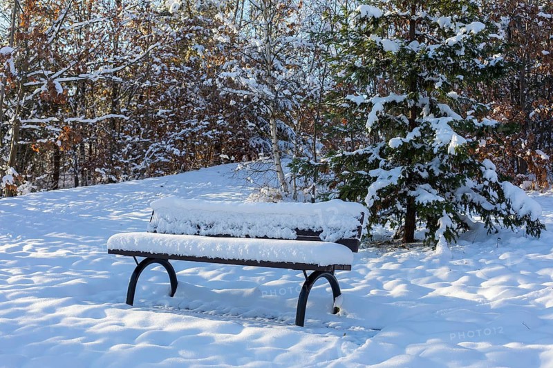 Snow-covered bench in the winter forest, spoil tip from the former Deutschlandschacht in Oelsnitz in the Ore Mountains, Saxony, Germany