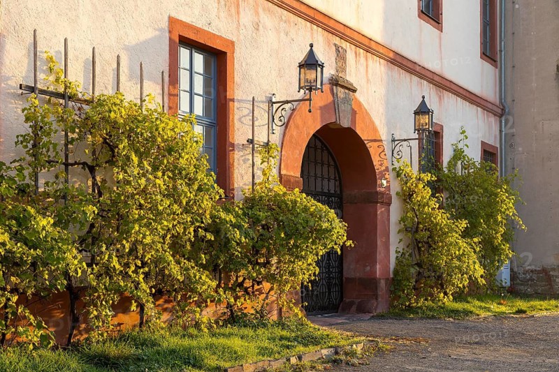 Entrance to Trebsen Castle in the morning light, south facade, Trebsen, Saxony, Germany