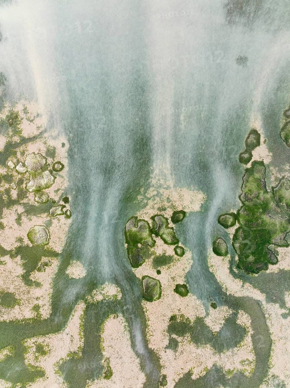 Network of channels and streams at low tide at their confluence with a larger body of water, in the marshland of the Bahía de Cádiz, aerial view, drone shot, Cádiz province, Andalusia, Spain