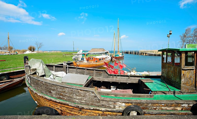 Zeesenboote and fishing boats in the Bodden harbour of Bodstedt, Bodstedter Bodden, Fischland-Darß-Zingst, Mecklenburg-Vorpommern, Germany