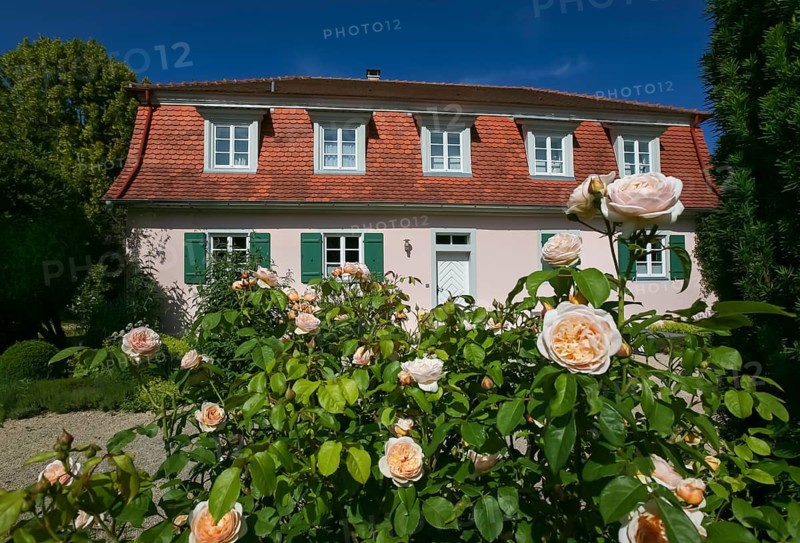 Cavalier's cottage at Lindich Castle, built from 1738 to 1741 by Prince Friedrich Ludwig, hunting and pleasure palace, residence, historical building, rose blossoms, (pink), Hechingen, Zollernalbkreis, Baden-Württemberg, Germany