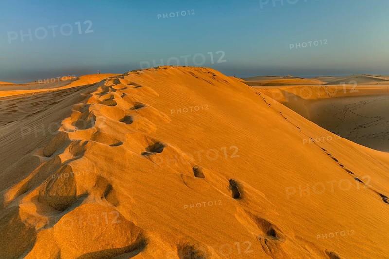 Dunes of Maspalomas, Maspalomas, Gran Canaria, Canary Islands, Spain, Maspalomas, Gran Canaria, Canary Islands, Spain