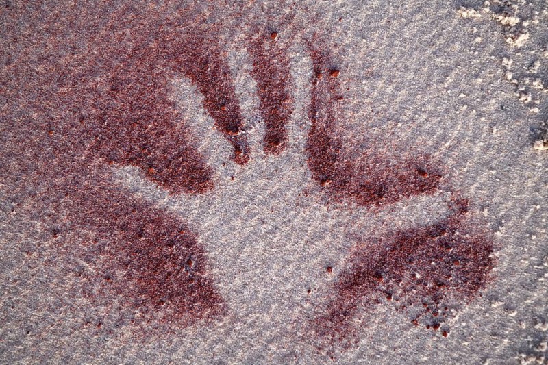 Hand outline in the sand, François Péron National Park, Shark Bay, State of Western Australia, Australia