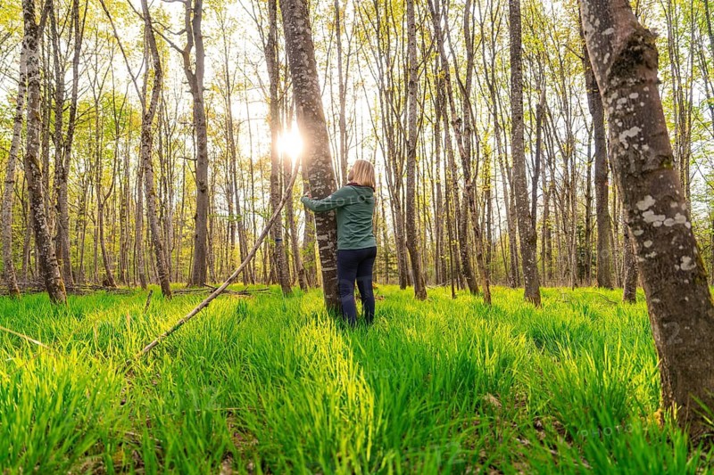 Woman in the forest hugging a tree as the sun sets, creating a peaceful connection with nature, Gechingen, Calw County, Germany