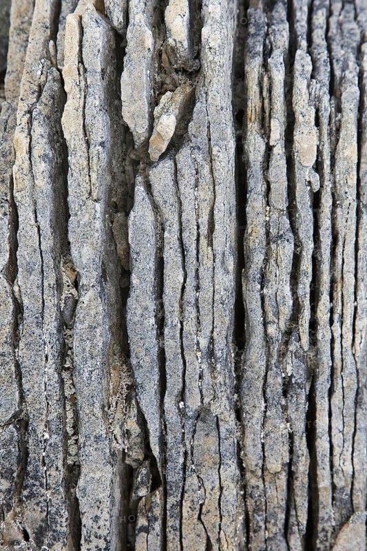 Close-up of shattered sedimentary rock, slate, shale fractured along existing joints by frost weathering on Svalbard, Spitsbergen, Norway