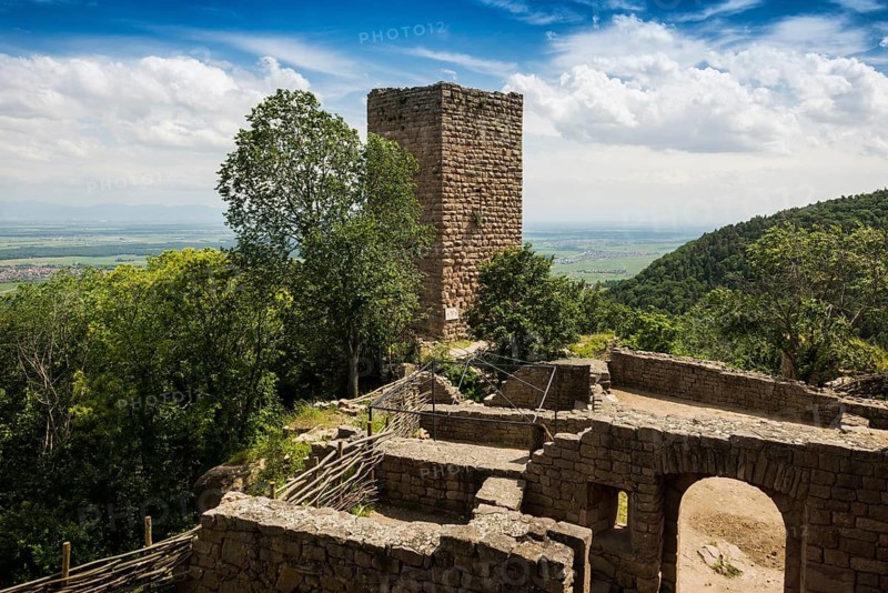 Castle ruins, Les Trois Châteaux d'Eguisheim, Eguisheim, Plus beaux villages de France, Haut-Rhin, Alsace, Alsace, France
