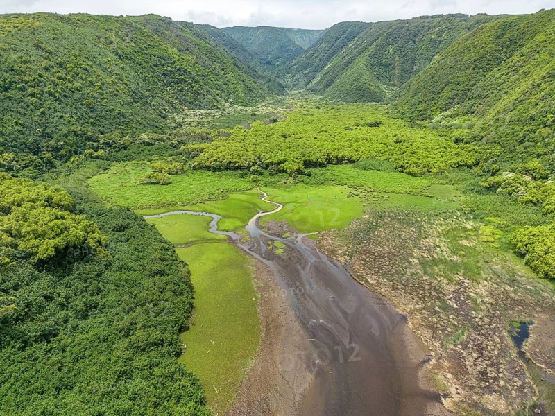 Aerial view of the Pololu Valley, Big Island, Hawaii, USA, North America