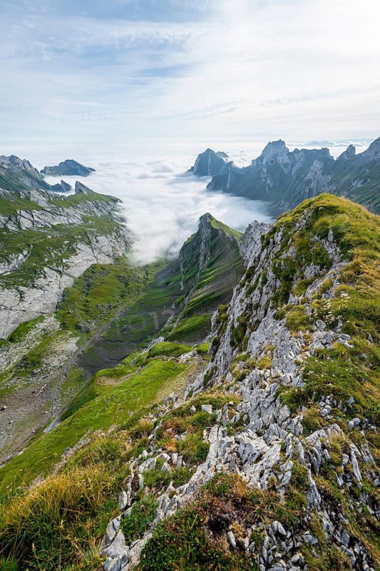 View of mountain peaks above the sea of clouds, Säntis mountains and valley of Meglisalp, high fog, Appenzell Ausserrhoden, Appenzell Alps, Switzerland