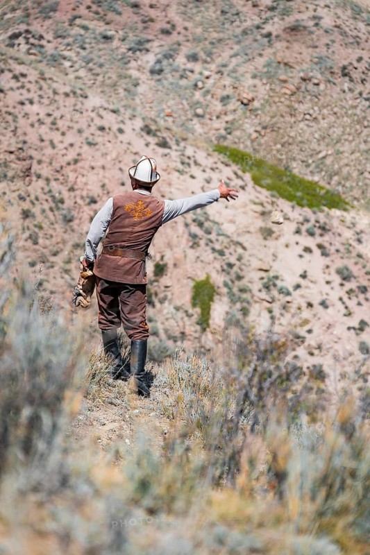 Traditional Kyrgyz eagle hunter hunting in the mountains in a dry landscape, near Kysyl-Suu, Issyk Kul, Kyrgyzstan