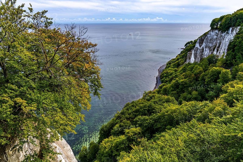 Chalk cliffs of Rügen, Königsstuhl rock formation, in the Jasmund National Park, view of the Baltic Sea and the chalk cliff coast, between Sassnitz and Lohme, Mecklenburg-Western Pomerania, Germany