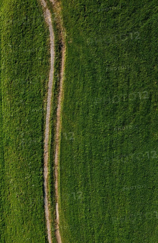 Drone shot, meadow path leads through a green meadow, from above, structure, agriculture, agricultural landscape, Oberhofen, Hausruckviertel, Upper Austria, Austria