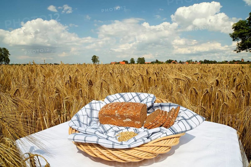 Barley bread in front of barley field