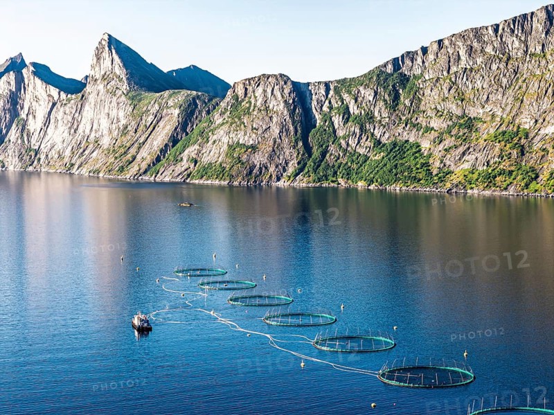 Aerial view of a salmon farm, aquaculture in the Mefjord on Senja island, in the background the peak of famous Segla mountain, Senja, Norway