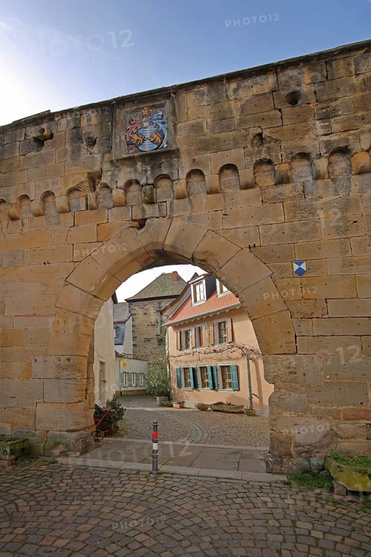 Historic iron gate with city coat of arms, city fortification, city wall, city gate, archway, landmark, Freinsheim, Rhineland-Palatinate, Germany