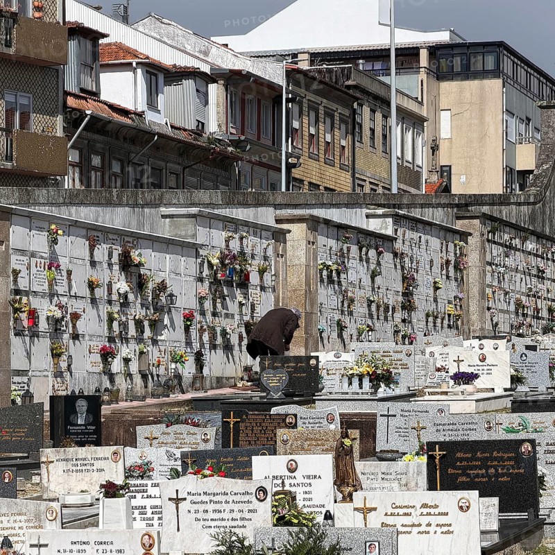 Cemitério da Lapa, Lapa cemetery, a person tending a burial ground, beyond the wall the houses of the living, Porto, Portugal