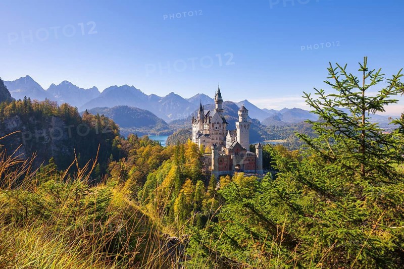 Neuschwanstein Castle in the midst of an impressive forest and mountain landscape, Schwangau, Ostallgäu, Allgäu, Swabia, Upper Bavaria, Bavaria, Germany