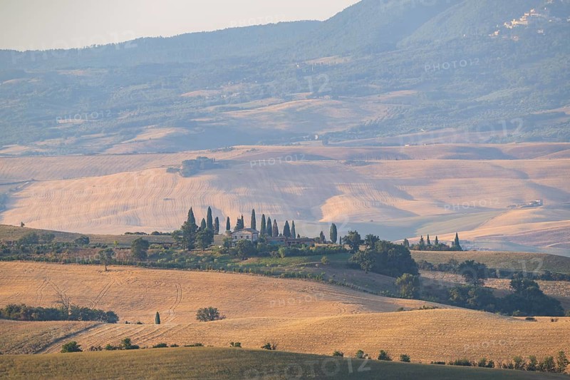 Typical Tuscan landscape in Val d'Orcia with hills, trees, fields, farmhouses and cypresses at sunrise in summer, Tuscany, Italy