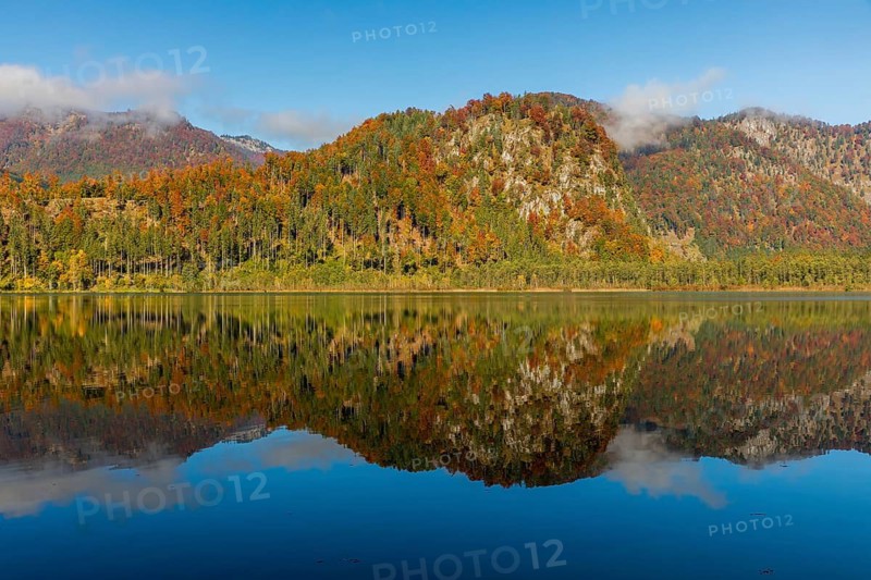Lake Almsee in autumn with a forest reflected in the lake. A slowly dissipating fog moves over the lake. Blue sky with no clouds