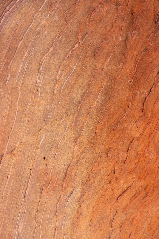 Close-up of a sandstone surface showcasing natural abstract textures with varying shades of earthy brown. The image highlights the intricate patterns formed by geological processes