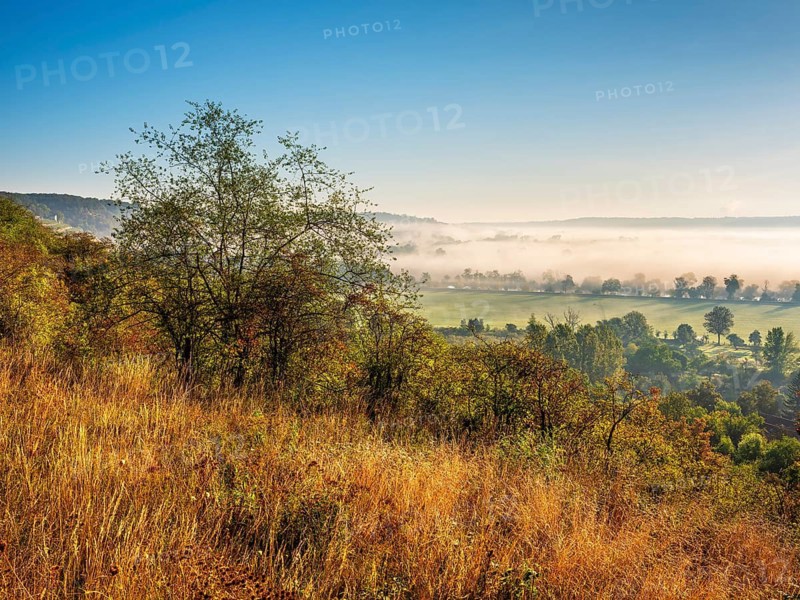 Morning atmosphere in the Saale Valley in autumn, fog sweeps through the valley, Naumburg, Saxony-Anhalt, Germany