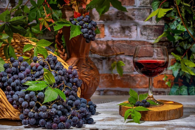 Blue burgundy grapes in and beside basket with wine jug and wine glass in front of brick wall with leaves