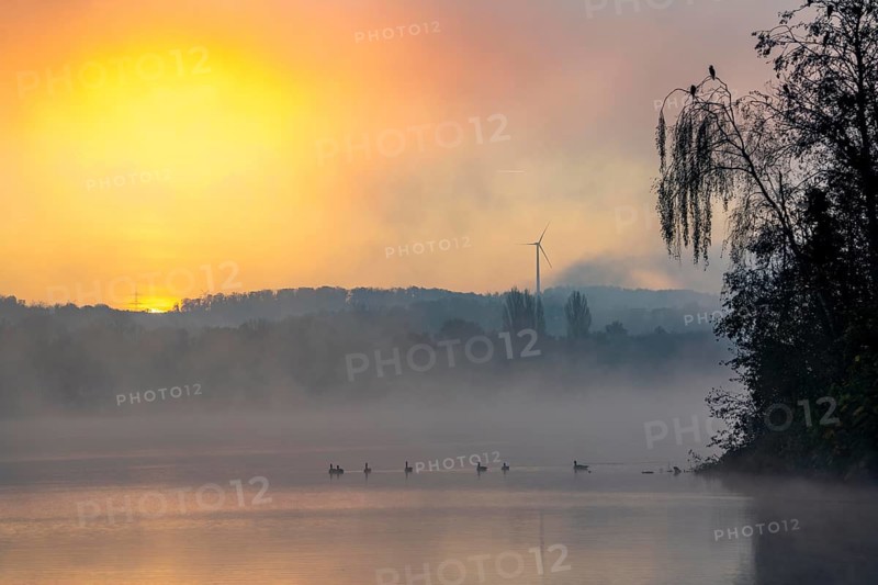 Sunrise, autumnal atmosphere at Lake Baldeney, near Haus Scheppen, in Essen, North Rhine-Westphalia, Germany