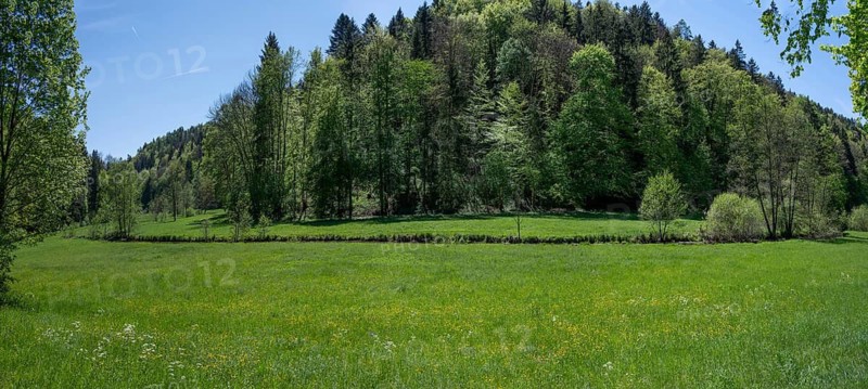 Spring landscape with river in the Aufseßtal, Doos, Upper Franconia, Bavaria, Germany