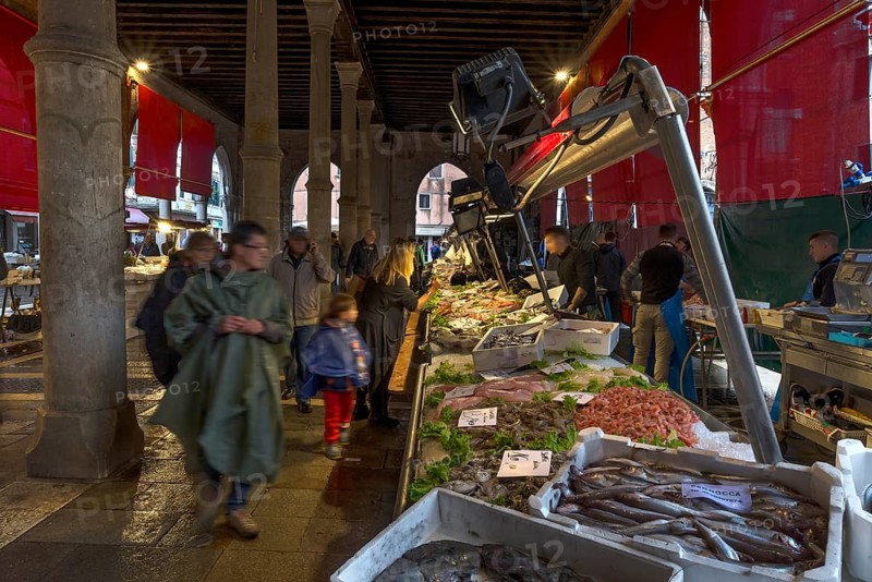 Fish market, rialto market in the San Polo district, Venice, Veneto, Italy