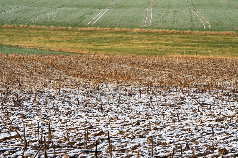 Agricultural fields in winter, Oberweser, Upper Weser Valley, Weser Uplands, Weserbergland, Hesse, Germany